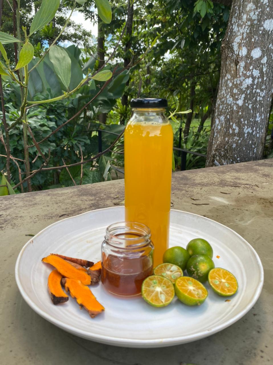 Sunshine Tonic – kai farms