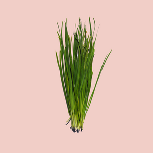 Garlic Chives