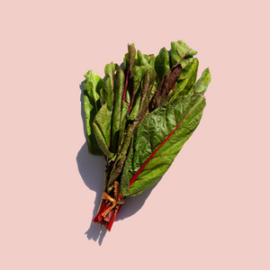 Swiss Chard